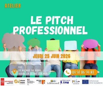 LE PITCH PROFESIONNEL