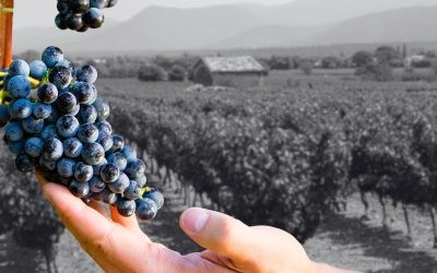 CONNAITRE PROVENCE MEDITERRANEE POUR TRAVAILLER